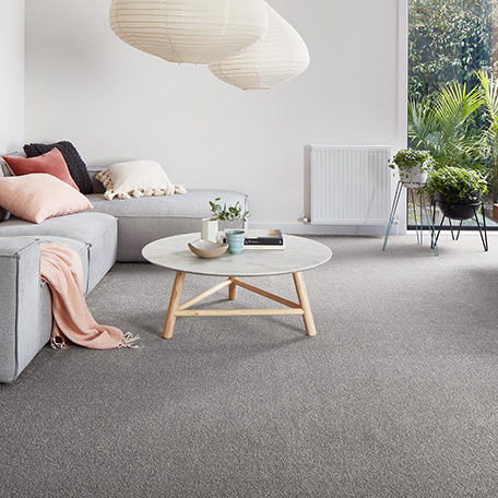 Carpets and rugs hamilton